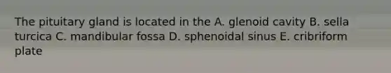 The pituitary gland is located in the A. glenoid cavity B. sella turcica C. mandibular fossa D. sphenoidal sinus E. cribriform plate