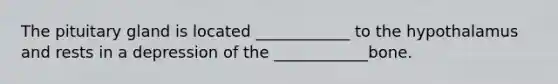 The pituitary gland is located ____________ to the hypothalamus and rests in a depression of the ____________bone.