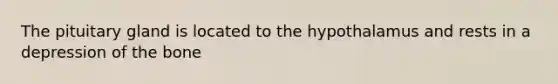 The pituitary gland is located to the hypothalamus and rests in a depression of the bone