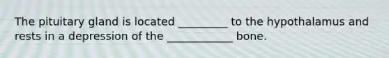 The pituitary gland is located _________ to the hypothalamus and rests in a depression of the ____________ bone.
