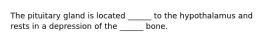 The pituitary gland is located ______ to the hypothalamus and rests in a depression of the ______ bone.