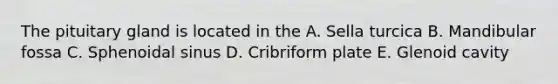 The pituitary gland is located in the A. Sella turcica B. Mandibular fossa C. Sphenoidal sinus D. Cribriform plate E. Glenoid cavity