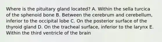 Where is the pituitary gland located? A. Within the sella turcica of the sphenoid bone B. Between the cerebrum and cerebellum, inferior to the occipital lobe C. On the posterior surface of the thyroid gland D. On the tracheal surface, inferior to the larynx E. Within the third ventricle of the brain