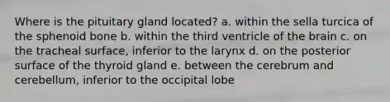 Where is the pituitary gland located? a. within the sella turcica of the sphenoid bone b. within the third ventricle of the brain c. on the tracheal surface, inferior to the larynx d. on the posterior surface of the thyroid gland e. between the cerebrum and cerebellum, inferior to the occipital lobe