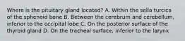 Where is the pituitary gland located? A. Within the sella turcica of the sphenoid bone B. Between the cerebrum and cerebellum, inferior to the occipital lobe C. On the posterior surface of the thyroid gland D. On the tracheal surface, inferior to the larynx