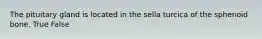 The pituitary gland is located in the sella turcica of the sphenoid bone. True False