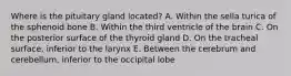 Where is the pituitary gland located? A. Within the sella turica of the sphenoid bone B. Within the third ventricle of the brain C. On the posterior surface of the thyroid gland D. On the tracheal surface, inferior to the larynx E. Between the cerebrum and cerebellum, inferior to the occipital lobe