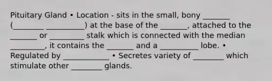 Pituitary Gland • Location - sits in the small, bony _______ (________ __________) at the base of the _______, attached to the _______ or _________ stalk which is connected with the median _________, it contains the _______ and a __________ lobe. • Regulated by ____________ • Secretes variety of ________ which stimulate other ________ glands.