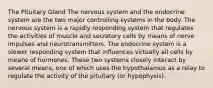 The Pituitary Gland The nervous system and the endocrine system are the two major controlling systems in the body. The nervous system is a rapidly responding system that regulates the activities of muscle and secretory cells by means of nerve impulses and neurotransmitters. The endocrine system is a slower responding system that influences virtually all cells by means of hormones. These two systems closely interact by several means, one of which uses the hypothalamus as a relay to regulate the activity of the pituitary (or hypophysis).