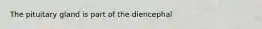 The pituitary gland is part of the diencephal