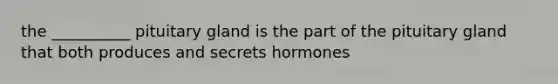 the __________ pituitary gland is the part of the pituitary gland that both produces and secrets hormones