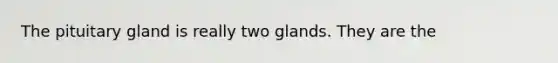 The pituitary gland is really two glands. They are the