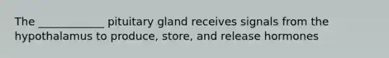 The ____________ pituitary gland receives signals from the hypothalamus to produce, store, and release hormones