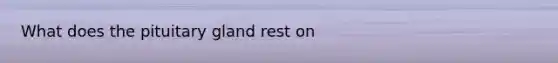 What does the pituitary gland rest on