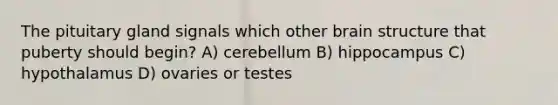 The pituitary gland signals which other brain structure that puberty should begin? A) cerebellum B) hippocampus C) hypothalamus D) ovaries or testes