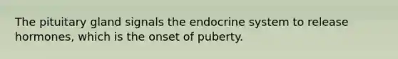 The pituitary gland signals the endocrine system to release hormones, which is the onset of puberty.