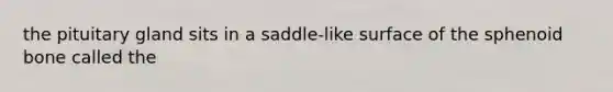 the pituitary gland sits in a saddle-like surface of the sphenoid bone called the