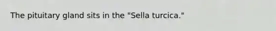 The pituitary gland sits in the "Sella turcica."