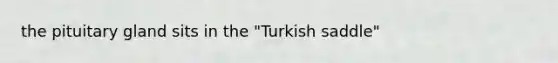 the pituitary gland sits in the "Turkish saddle"