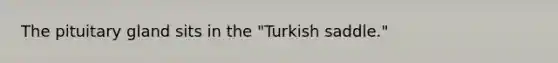 The pituitary gland sits in the "Turkish saddle."