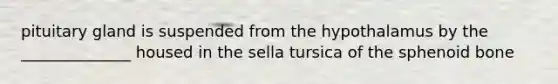 pituitary gland is suspended from the hypothalamus by the ______________ housed in the sella tursica of the sphenoid bone