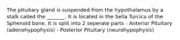 The pituitary gland is suspended from the hypothalamus by a stalk called the _______. It is located in the Sella Turcica of the Sphenoid bone. It is split into 2 seperate parts - Anterior Pituitary (adenohypophysis) - Posterior Pituitary (neurohypophysis)