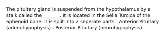 The pituitary gland is suspended from the hypothalamus by a stalk called the _______. It is located in the Sella Turcica of the Sphenoid bone. It is split into 2 seperate parts - Anterior Pituitary (adenohypophysis) - Posterior Pituitary (neurohypophysis)