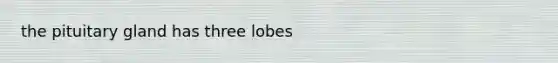 the pituitary gland has three lobes