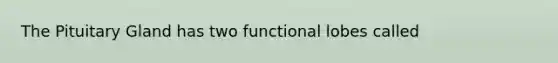 The Pituitary Gland has two functional lobes called