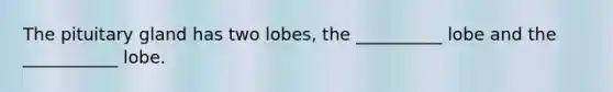 The pituitary gland has two lobes, the __________ lobe and the ___________ lobe.