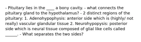 - Pituitary lies in the ____ a bony cavity. - what connects the pituitary gland to the hypothalamus? - 2 distinct regions of the pituitary: 1. Adenohypophysis: anterior side which is (highly/ not really) vascular glandular tissue 2. Neurohypopysis: posterior side which is neural tissue composed of glial like cells called ______. - What separates the two sides?