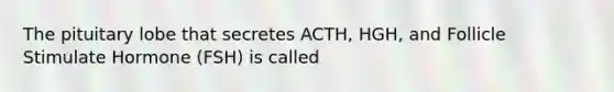 The pituitary lobe that secretes ACTH, HGH, and Follicle Stimulate Hormone (FSH) is called