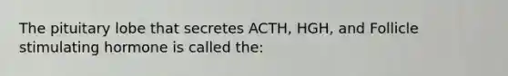 The pituitary lobe that secretes ACTH, HGH, and Follicle stimulating hormone is called the: