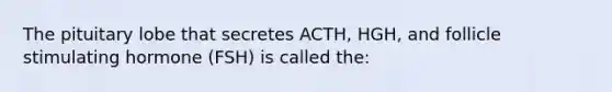 The pituitary lobe that secretes ACTH, HGH, and follicle stimulating hormone (FSH) is called the: