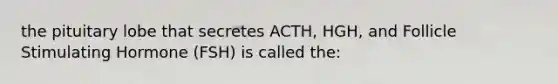 the pituitary lobe that secretes ACTH, HGH, and Follicle Stimulating Hormone (FSH) is called the: