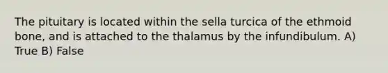 The pituitary is located within the sella turcica of the ethmoid bone, and is attached to the thalamus by the infundibulum. A) True B) False