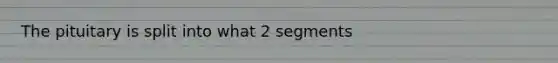 The pituitary is split into what 2 segments