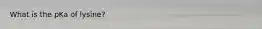 What is the pKa of lysine?