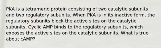 PKA is a tetrameric protein consisting of two catalytic subunits and two regulatory subunits. When PKA is in its inactive form, the regulatory subunits block the active sites on the catalytic subunits. Cyclic AMP binds to the regulatory subunits, which exposes the active sites on the catalytic subunits. What is true about cAMP?