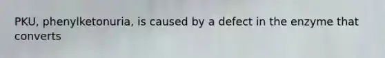 PKU, phenylketonuria, is caused by a defect in the enzyme that converts