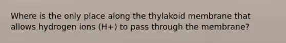 Where is the only place along the thylakoid membrane that allows hydrogen ions (H+) to pass through the membrane?