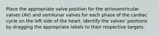 Place the appropriate valve position for the atrioventricular valves (AV) and semilunar valves for each phase of the cardiac cycle on the left side of the heart. ​Identify the valves' positions by dragging the appropriate labels to their respective targets.