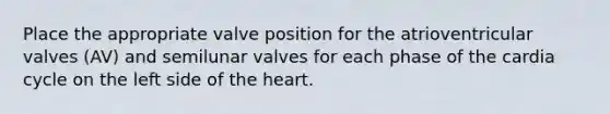 Place the appropriate valve position for the atrioventricular valves (AV) and semilunar valves for each phase of the cardia cycle on the left side of the heart.