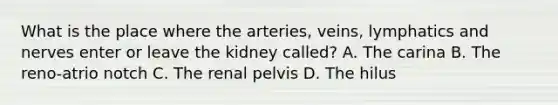 What is the place where the arteries, veins, lymphatics and nerves enter or leave the kidney called? A. The carina B. The reno-atrio notch C. The renal pelvis D. The hilus