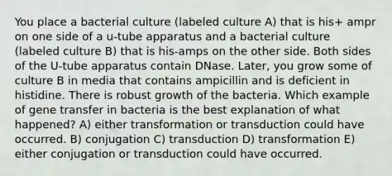 You place a bacterial culture (labeled culture A) that is his+ ampr on one side of a u-tube apparatus and a bacterial culture (labeled culture B) that is his-amps on the other side. Both sides of the U-tube apparatus contain DNase. Later, you grow some of culture B in media that contains ampicillin and is deficient in histidine. There is robust growth of the bacteria. Which example of gene transfer in bacteria is the best explanation of what happened? A) either transformation or transduction could have occurred. B) conjugation C) transduction D) transformation E) either conjugation or transduction could have occurred.