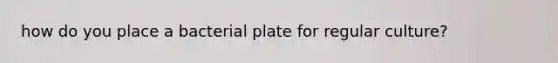 how do you place a bacterial plate for regular culture?