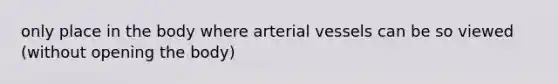 only place in the body where arterial vessels can be so viewed (without opening the body)