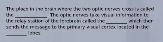 The place in the brain where the two optic nerves cross is called the ______________. The optic nerves take visual information to the relay station of the forebrain called the _________ which then sends the message to the primary visual cortex located in the _________ lobes.