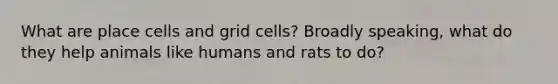 What are place cells and grid cells? Broadly speaking, what do they help animals like humans and rats to do?