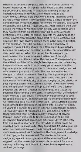 Whether or not there are place cells in the human brain is not known. However, PET imaging studies show that the human hippocampus is activated in situations involving virtual or imagined navigation through the environment. In one experiment, subjects were positioned in a PET machine while playing a video game. They could navigate a virtual town on the game monitor by using buttons for forward movement, backward movement, and turning (Figure 24.22a). After learning their way around the virtual town, their brain activity was recorded while they navigated from an arbitrary starting point to a chosen destination. In a control condition, subjects moved through the virtual environment from the same start to finish locations, but arrows in the town always pointed them in the correct direction. In this condition, they did not have to think about how to navigate. Figure 24.22b shows the difference in brain activity between the navigation condition and the control condition with directional arrows. When the person had to navigate the environment, there was increased activation of the right hippocampus and the left tail of the caudate. The asymmetry in the activation of the left and right hemispheres is an interesting frequent observation, but our primary point here is that the hippocampus is particularly active in this spatial navigation task with humans, just as it is in rats. The caudate activation is thought to reflect movement planning. The hippocampus has also been studied in London taxi drivers who must learn the locations of innumerable city sites and roughly 25,000 streets to pass rigorous exams and acquire a license. One study showed that, compared to a control group, taxi drivers have a larger posterior and smaller anterior hippocampus. The size of the posterior hippocampus also seems to correlate with the length of experience as a taxi driver. If the human hippocampus is used for spatial navigation, do hippocampal lesions impair navigation? An interesting case is a man known as T.T. who suffered bilateral hippocampal damage from encephalitis after a career of nearly 40 years as a London taxi driver. After his hippocampal damage, T.T. was very good at recognizing city landmarks and their topographical layout. A virtual reality simulation of driving through London was used to test his navigation skills. The researchers found that sometimes T.T. could "drive" efficiently from one point to another in the city while at other times he deviated from the ideal route. They found that T.T. did a good job when he could stick to main roads but got lost when smaller roads were required, as if he had lost the fine-grained knowledge of city topography he once had. The studies of humans navigating space in video games and the streets of London suggest that the human hippocampus is important for spatial memory, a finding reminiscent of the rat lesion experiments. couldn't get image